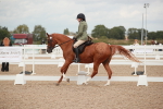 SBM_06003