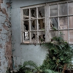 Denbigh Asylum portfolio