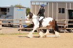 SBM_010442