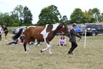 WJ6_6076