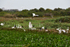 Landscape on the transpantaneira