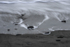 La Push Wave