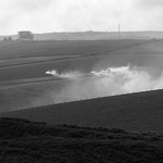 Stubble-burning, Dorset