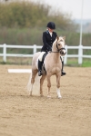 SBM_006315
