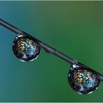 Digital - Gold - Jayne Crocker - Drops of colour