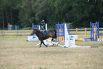 WJ6_8464