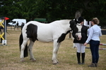 WJ6_4353