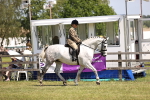 SBM_15037