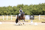 SBM_009411