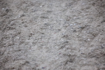 SBM_005548