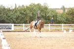 SBM_001031