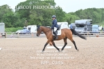BPP_0346