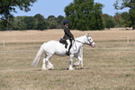 WJ6_8801