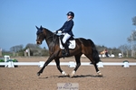 Cls 33 FEI Freestyle Music Pony portfolio