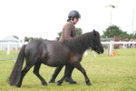 DSC04669