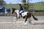 BPP_9851