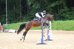 Class 8: Senior Newcomers/1.10m open portfolio