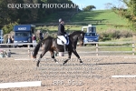 BPP_9512