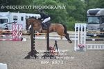 BPP_8873