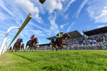 220926-Race 6-Coolree-7571