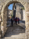 220264 Montefalco