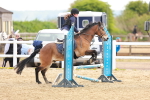 SBM_003923