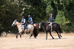 WJ6_9037