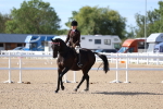 SBM_17608