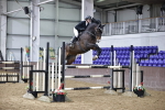 Class 5 - Redpost Equestrian Senior Foxhunter/ 1.20m Open portfolio
