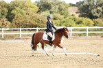 SBM_009919
