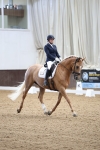 SBM_002062