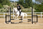 SBM_007639