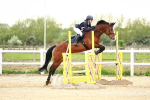 SBM_009345