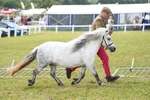 DSC05930