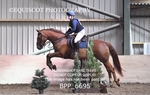 BPP_6695