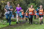 Dovedale Dash-2258