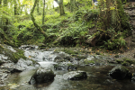 Dartmoor _ DR 003
