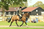 SBM_68199