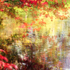 Fleeting Moment