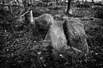 Rocks