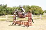 SBM_003794