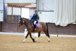 SBM_000355