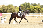 SBM_008777