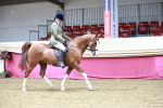 SBM_03091