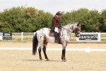 SBM_002730