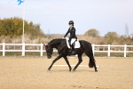 SBM_009636