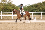 SBM_008660