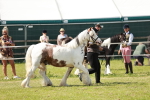 SBM_08562