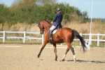 SBM_001911