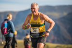 Sale Fell-466
